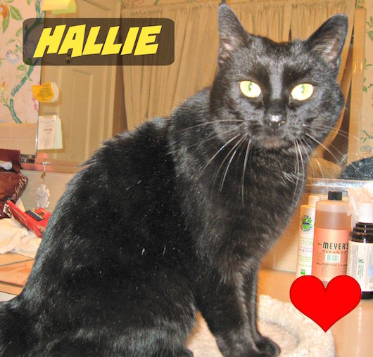 Hallie-1.jpg